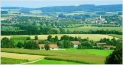 birnbach