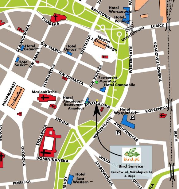 krakau plan